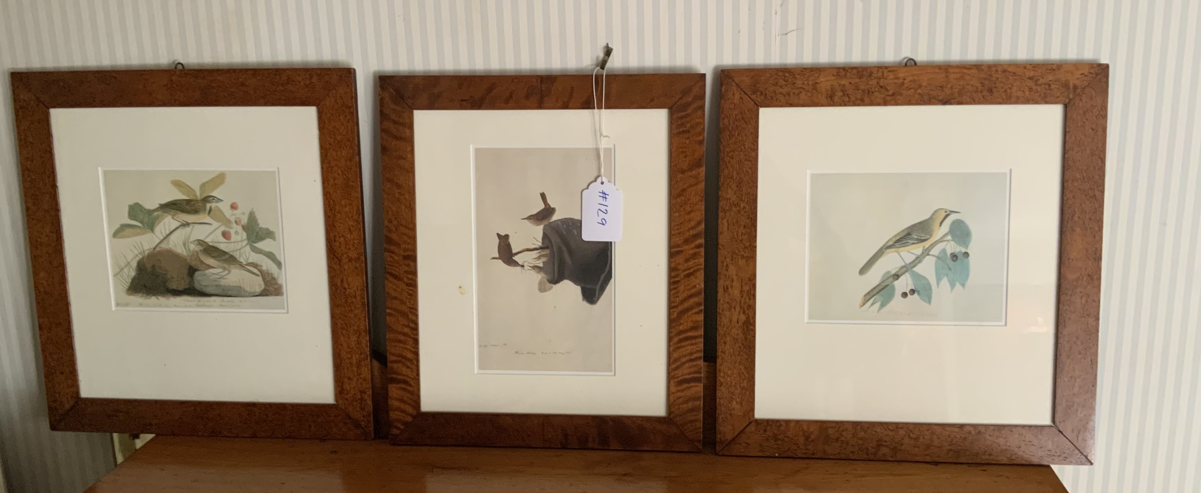 Audubon Bird Prints