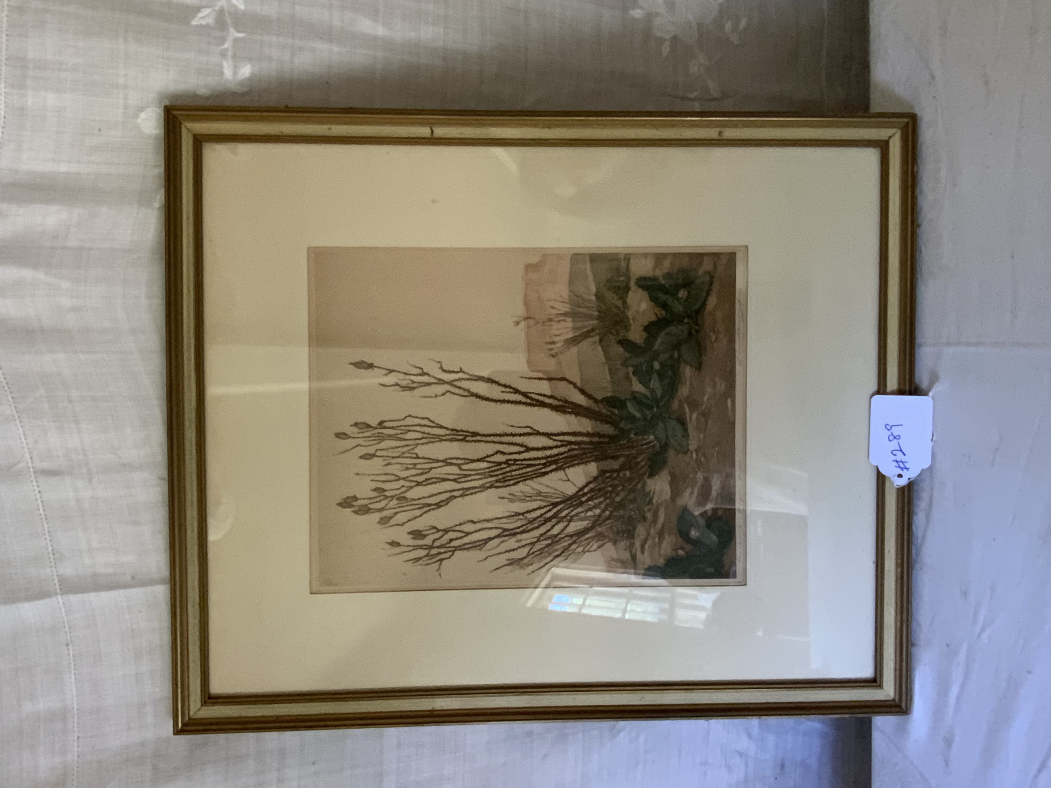 Lionel Pacheret Print