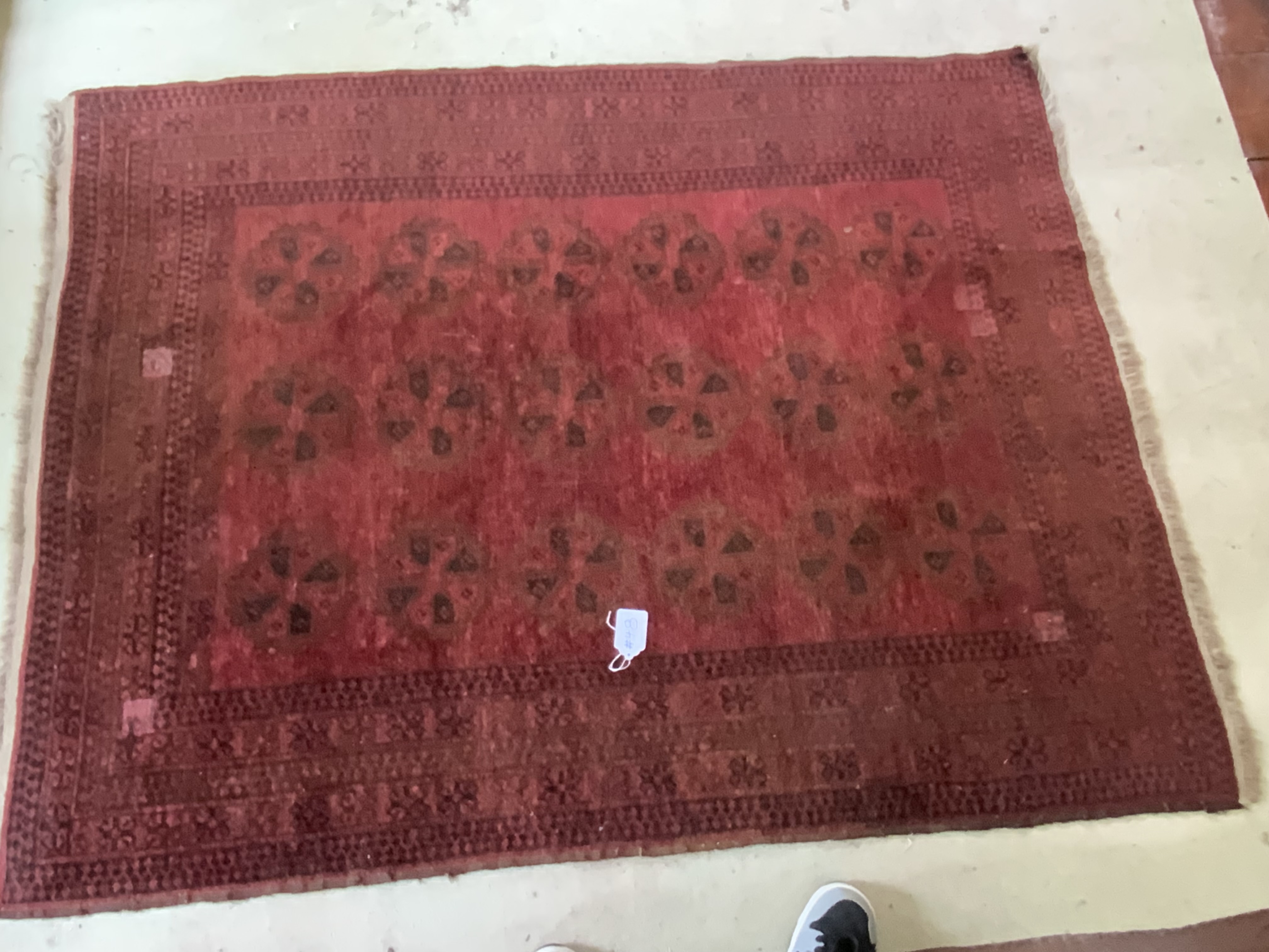 Oriental Tekke Carpet